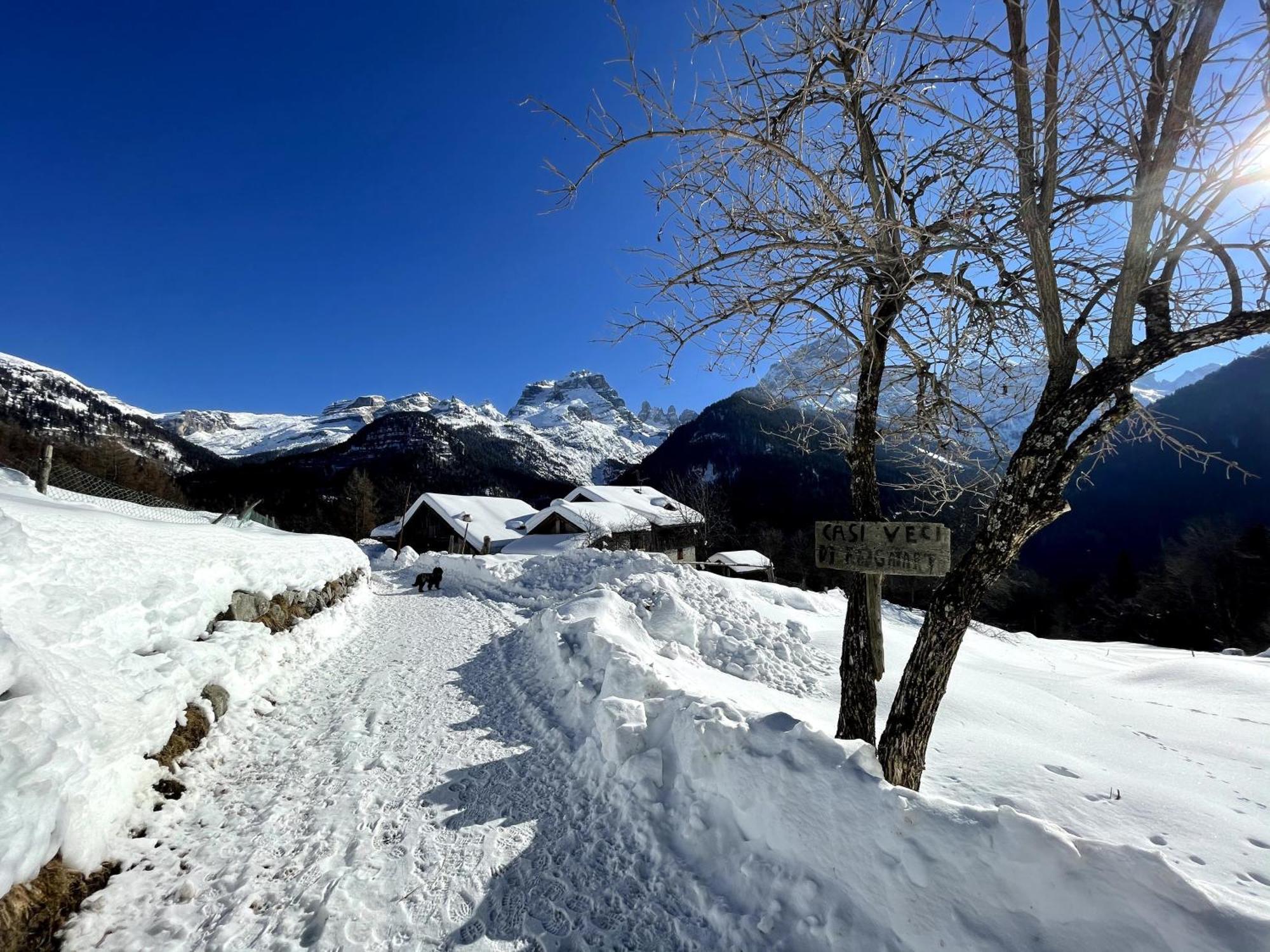Villa Alpina Campiglio Madonna エクステリア 写真