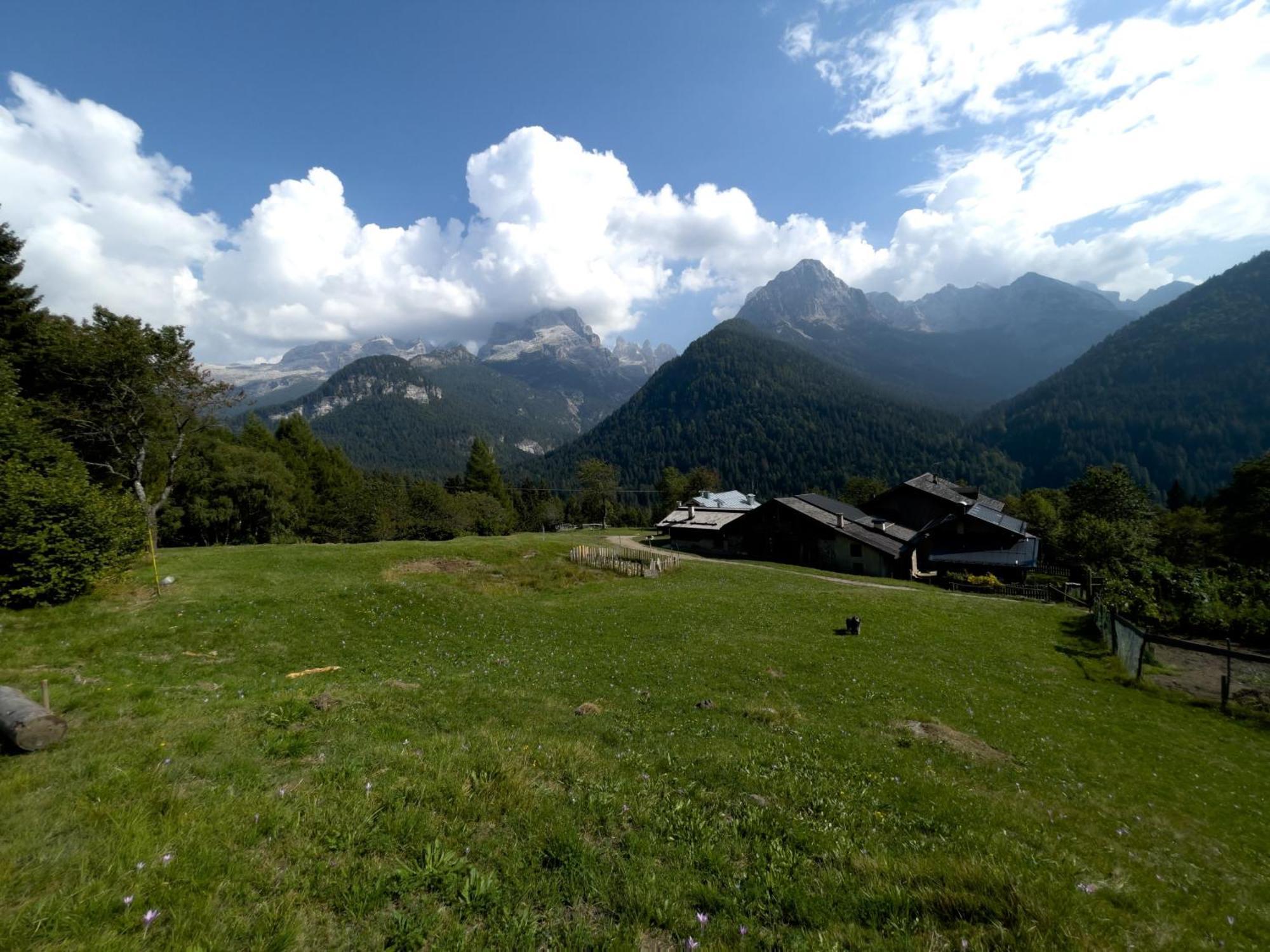 Villa Alpina Campiglio Madonna エクステリア 写真