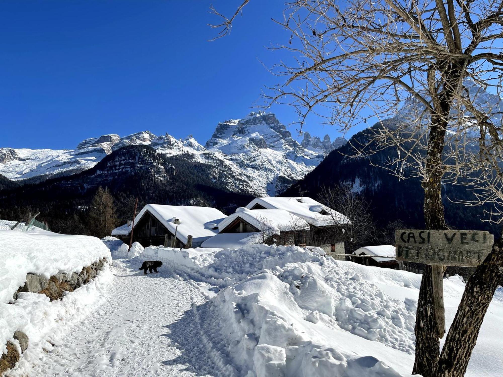 Villa Alpina Campiglio Madonna エクステリア 写真