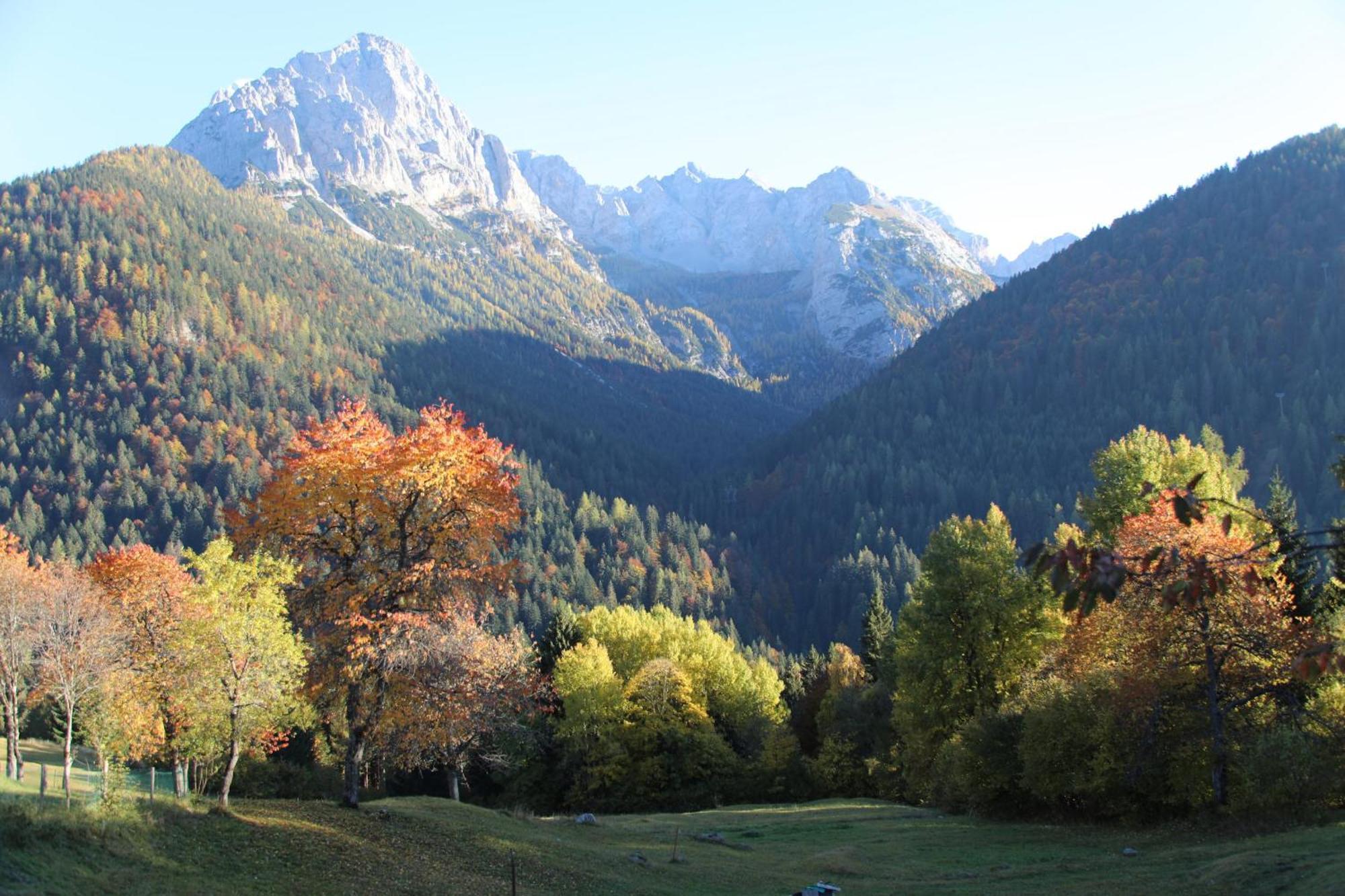 Villa Alpina Campiglio Madonna エクステリア 写真