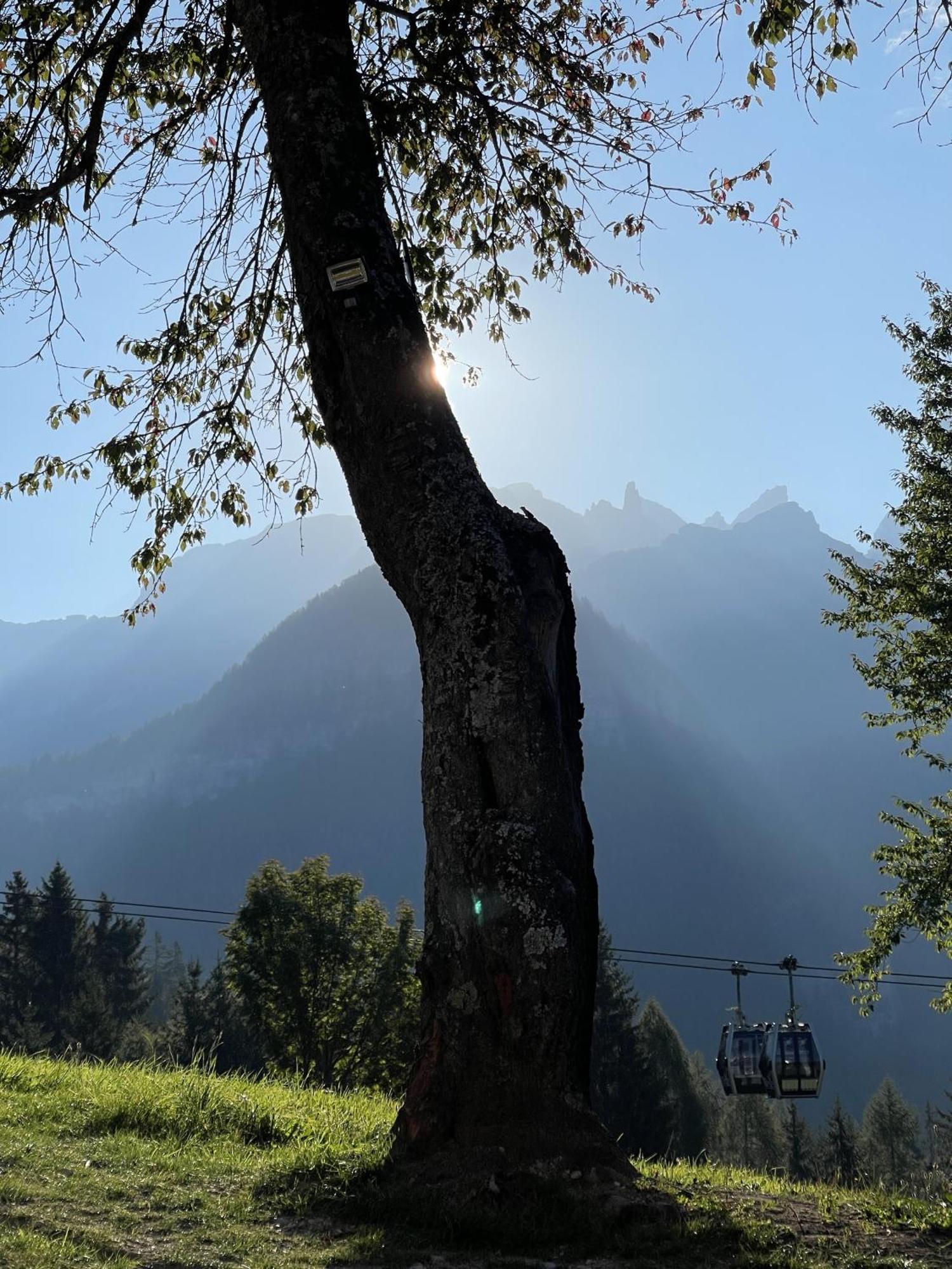 Villa Alpina Campiglio Madonna エクステリア 写真