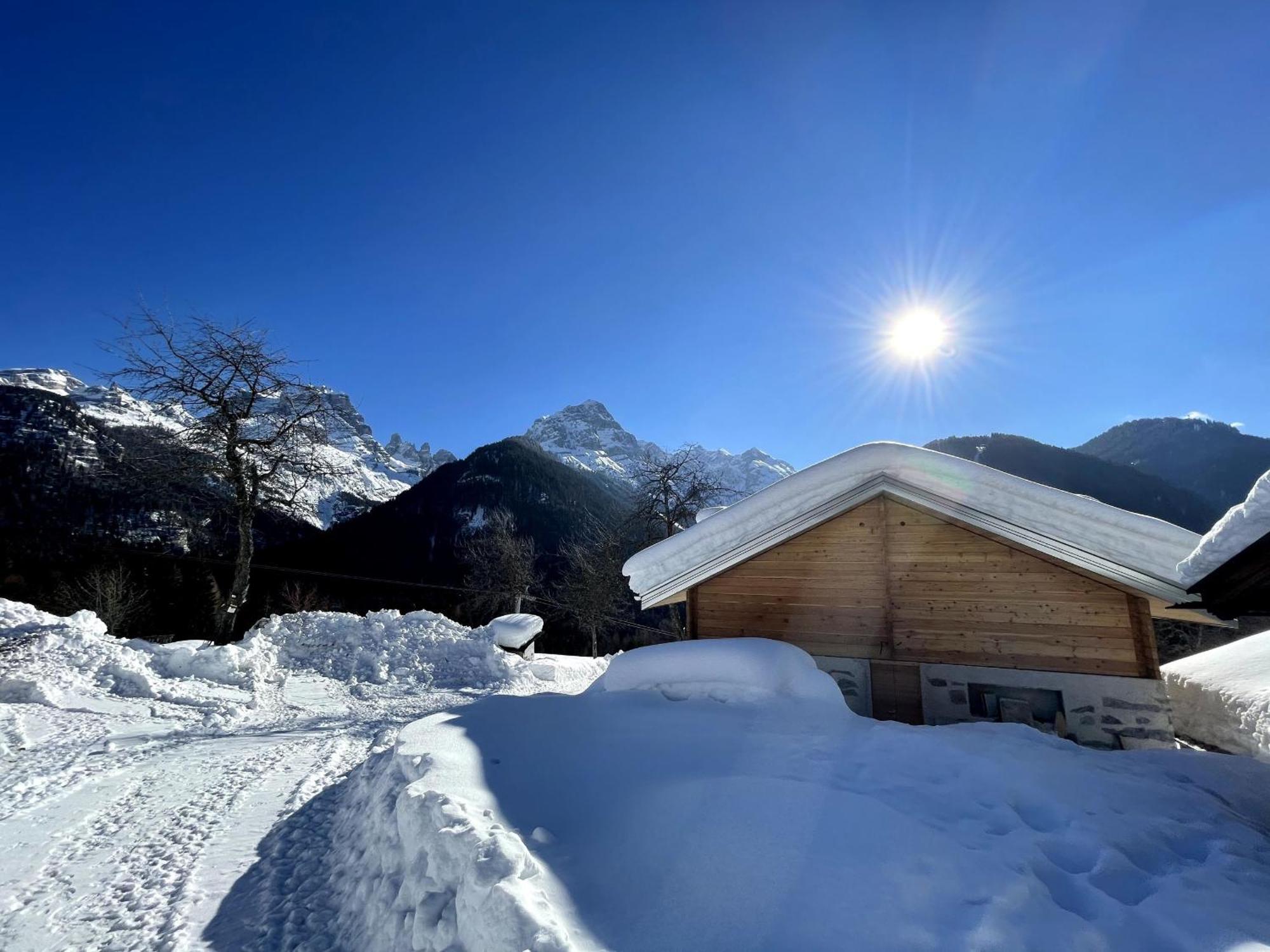 Villa Alpina Campiglio Madonna エクステリア 写真