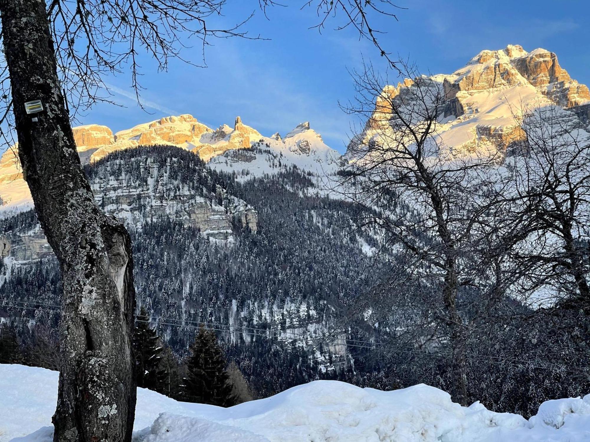 Villa Alpina Campiglio Madonna エクステリア 写真