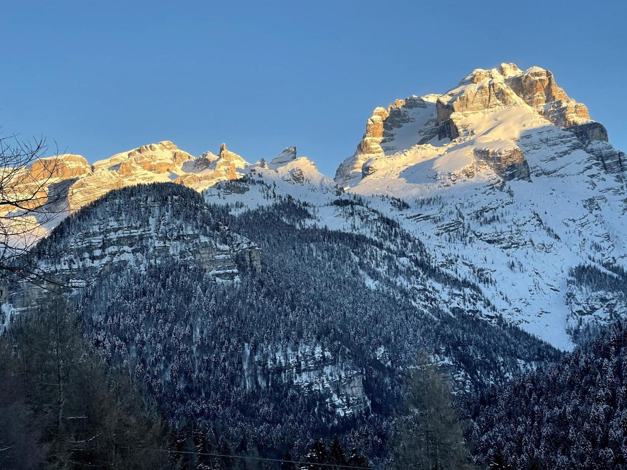 Villa Alpina Campiglio Madonna エクステリア 写真