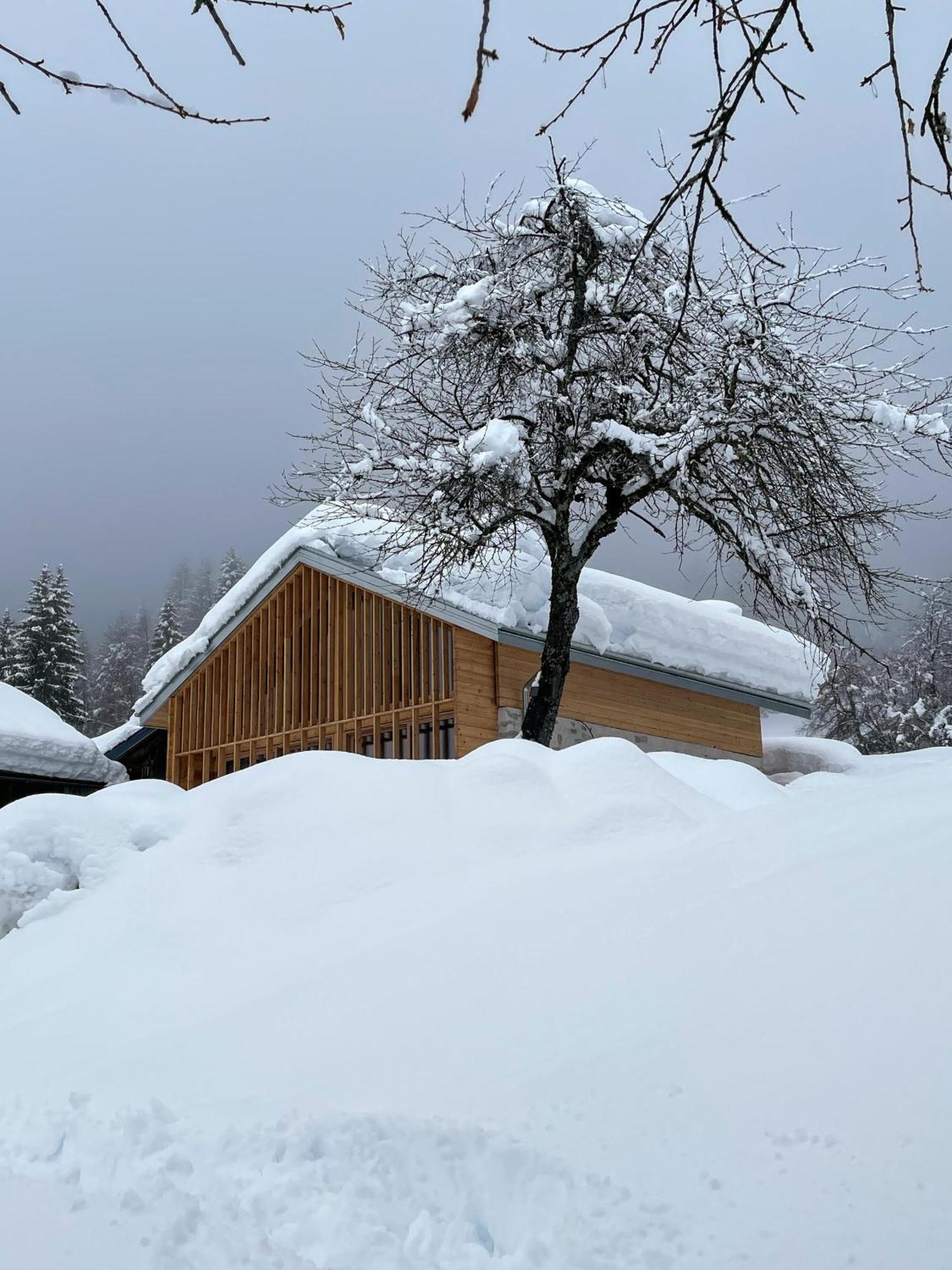 Villa Alpina Campiglio Madonna エクステリア 写真