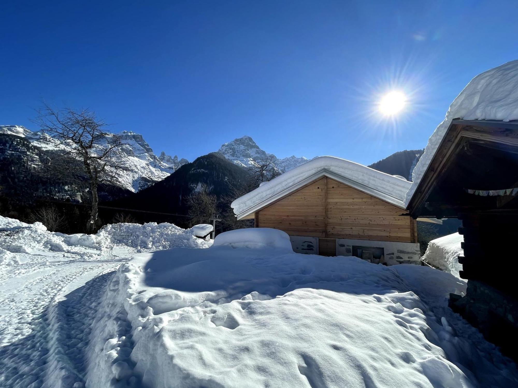 Villa Alpina Campiglio Madonna エクステリア 写真
